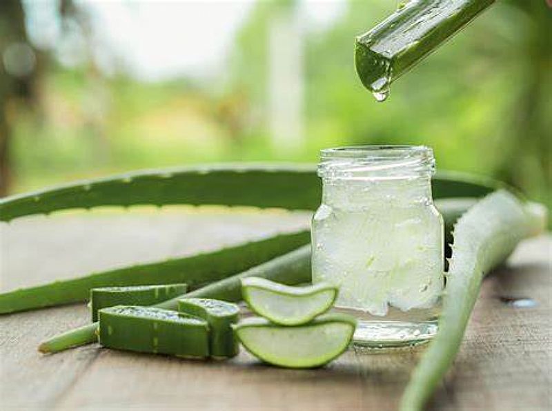 Aloe Vera 100Ml